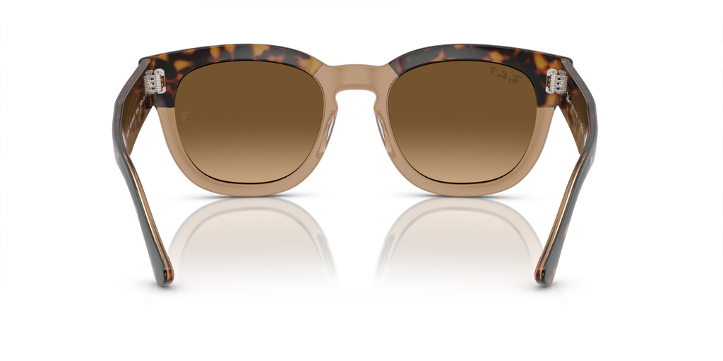 Ray-Ban RB0298S Mega Hawkeye