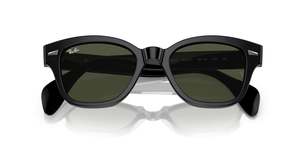 Ray-Ban RB0880S