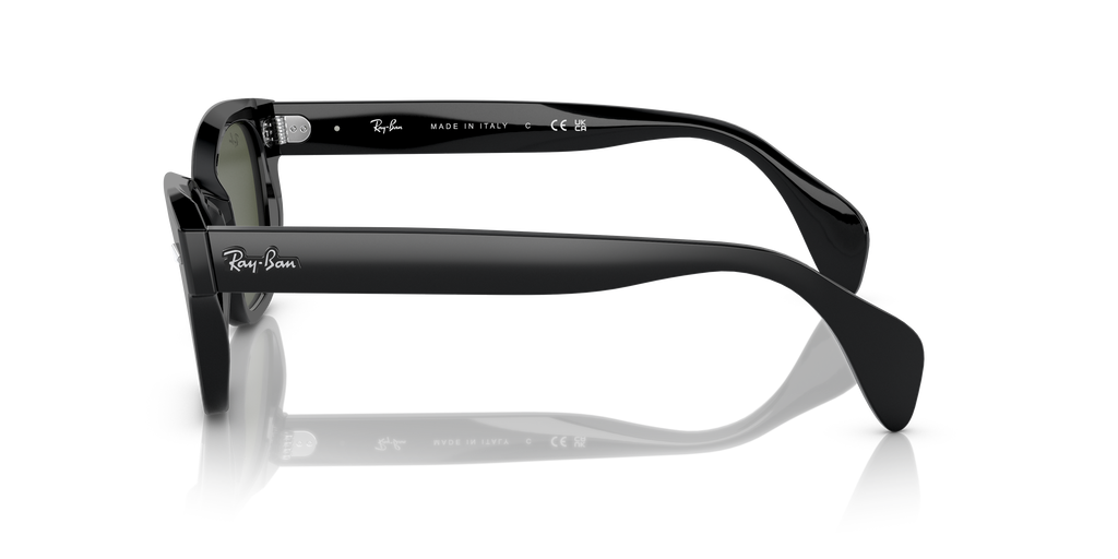 Ray-Ban RB0880S