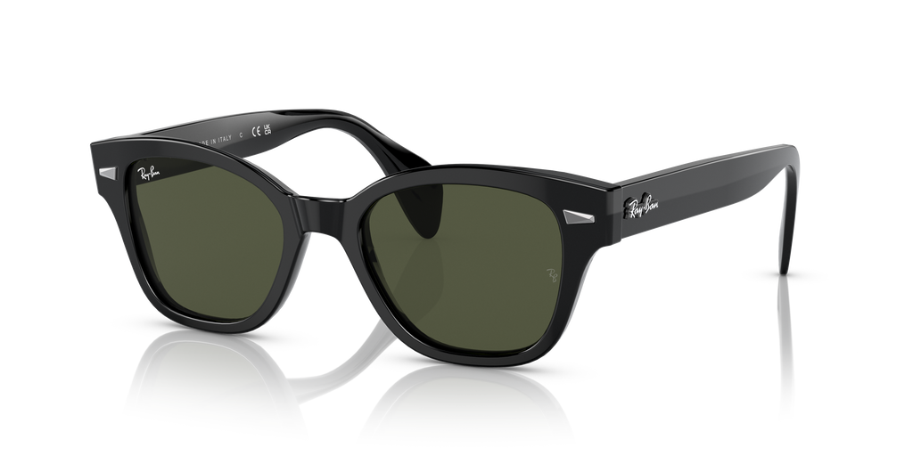 Ray-Ban RB0880S