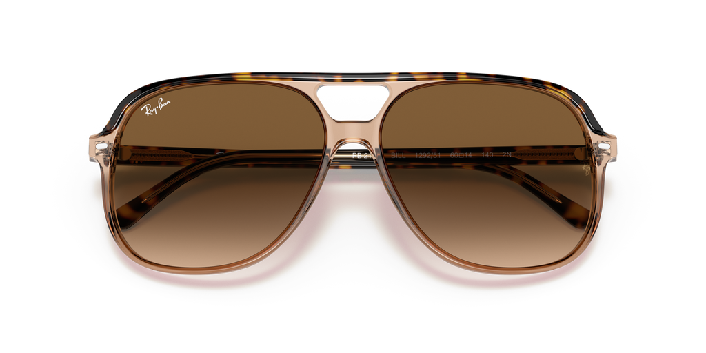 Ray-Ban RB2198 Bill