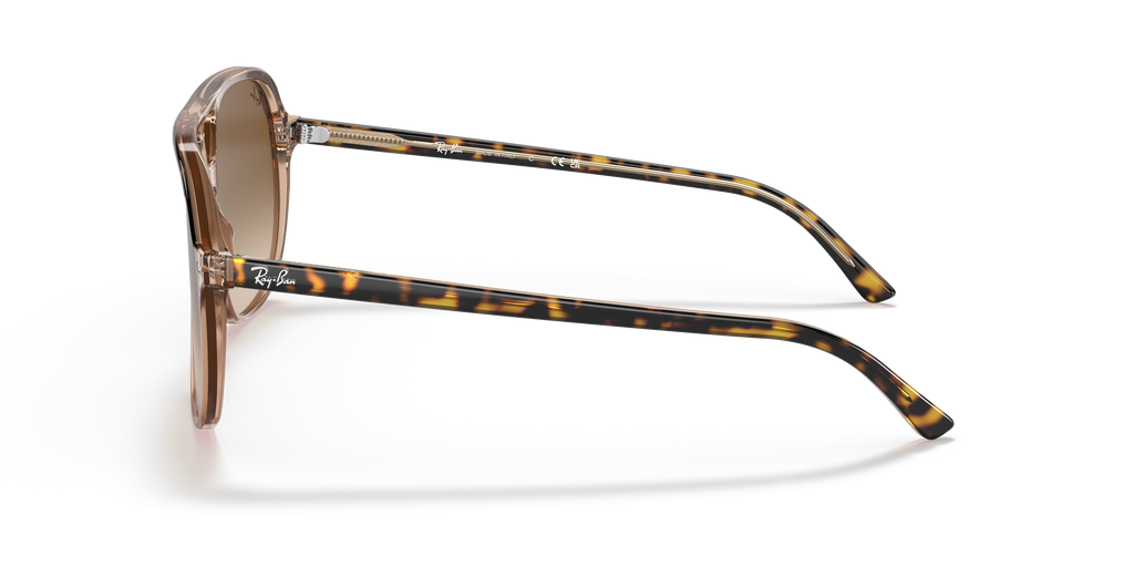 Ray-Ban RB2198 Bill