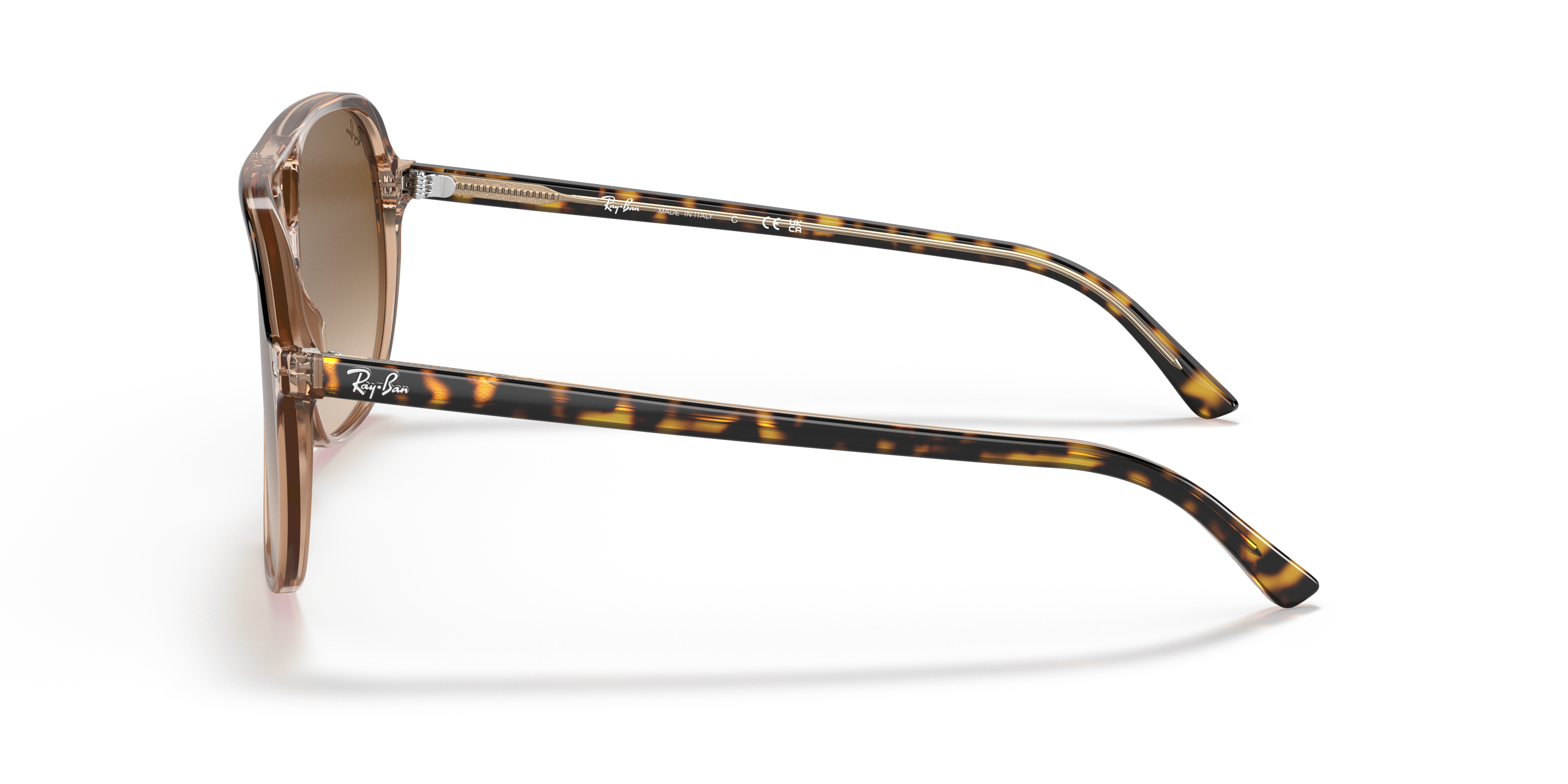 Ray-Ban RB2198 Bill