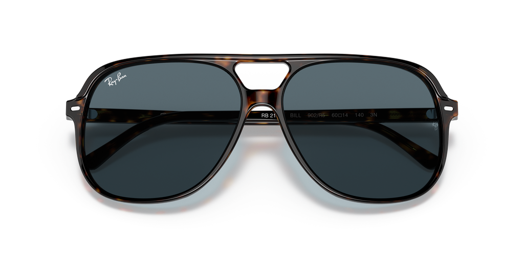 Ray-Ban RB2198 Bill