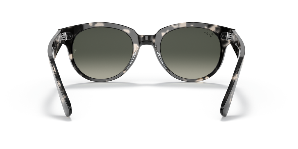 Ray-Ban RB2199 Orion