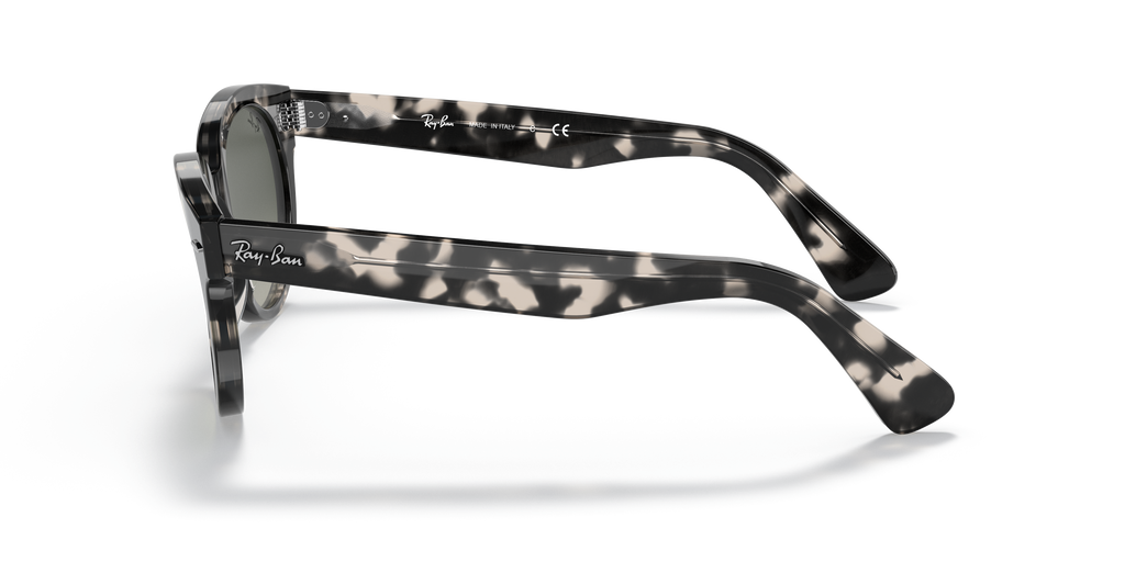 Ray-Ban RB2199 Orion
