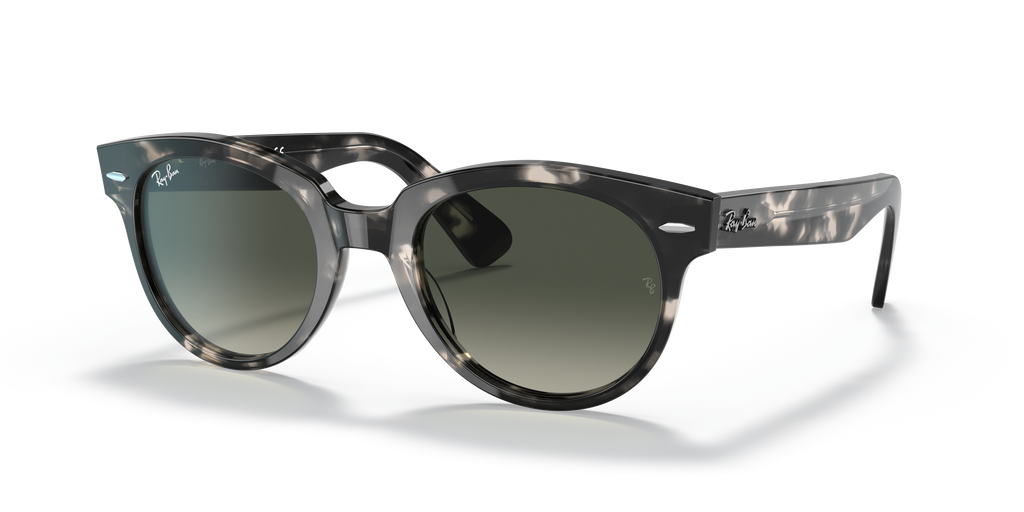 Ray-Ban RB2199 Orion