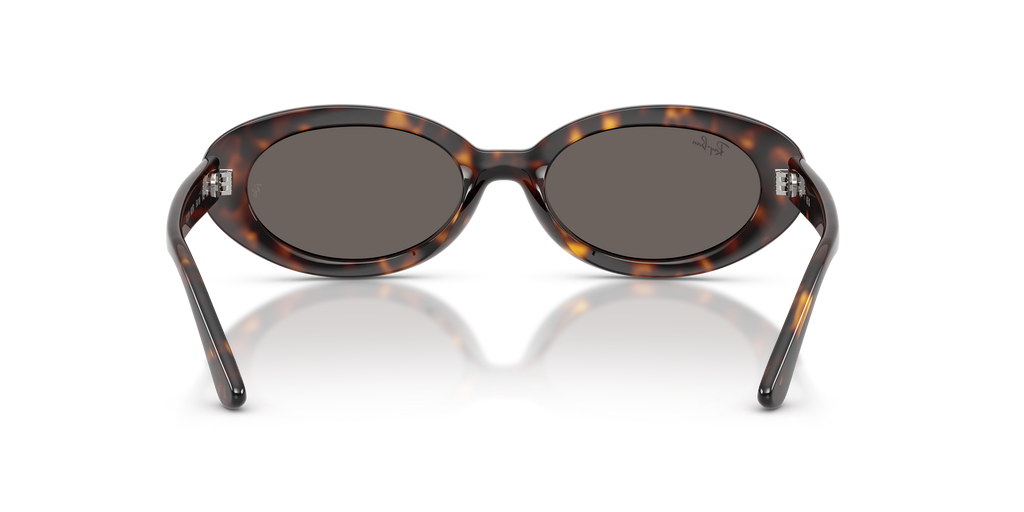 Ray-Ban RB2223
