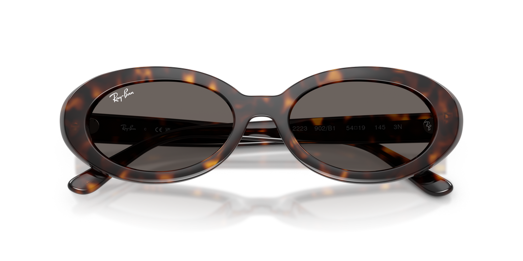 Ray-Ban RB2223