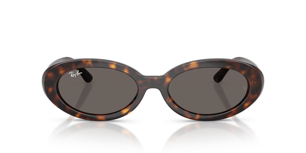 Ray-Ban RB2223