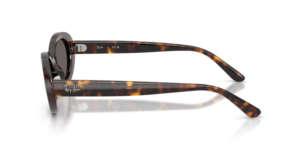 Ray-Ban RB2223