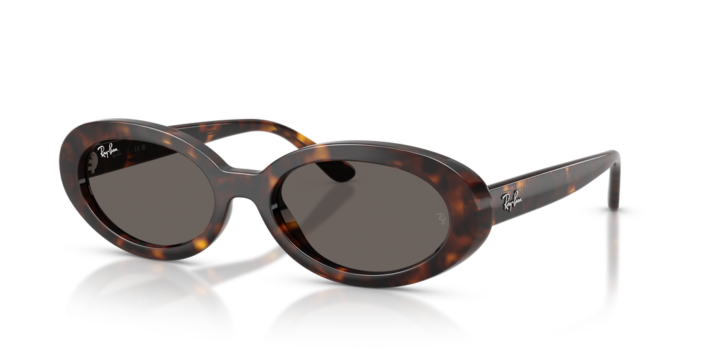 Ray-Ban RB2223