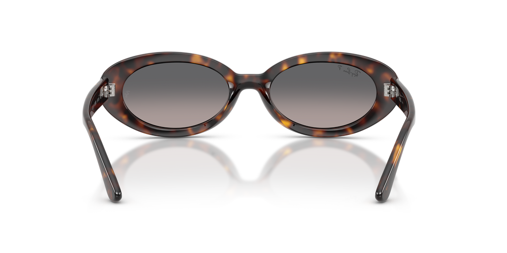 Ray-Ban RB2223