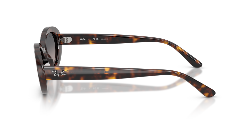 Ray-Ban RB2223