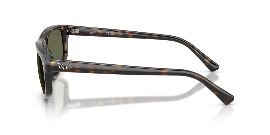 Ray-Ban RB2225