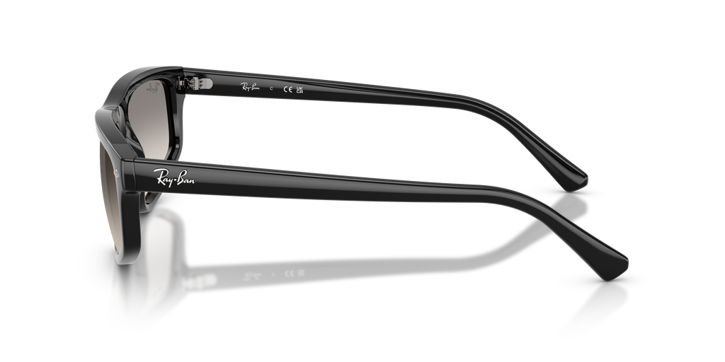 Ray-Ban RB2225