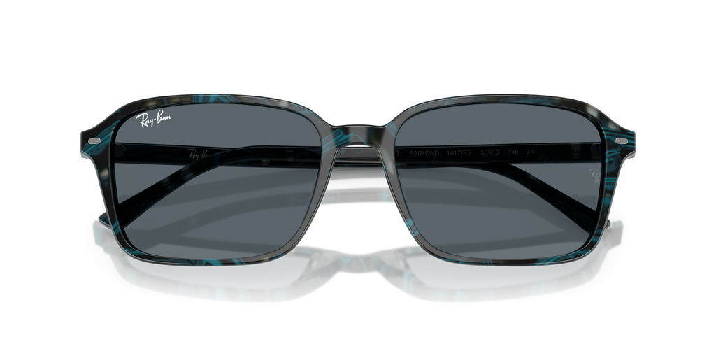 Ray-Ban RB2231 Raimond
