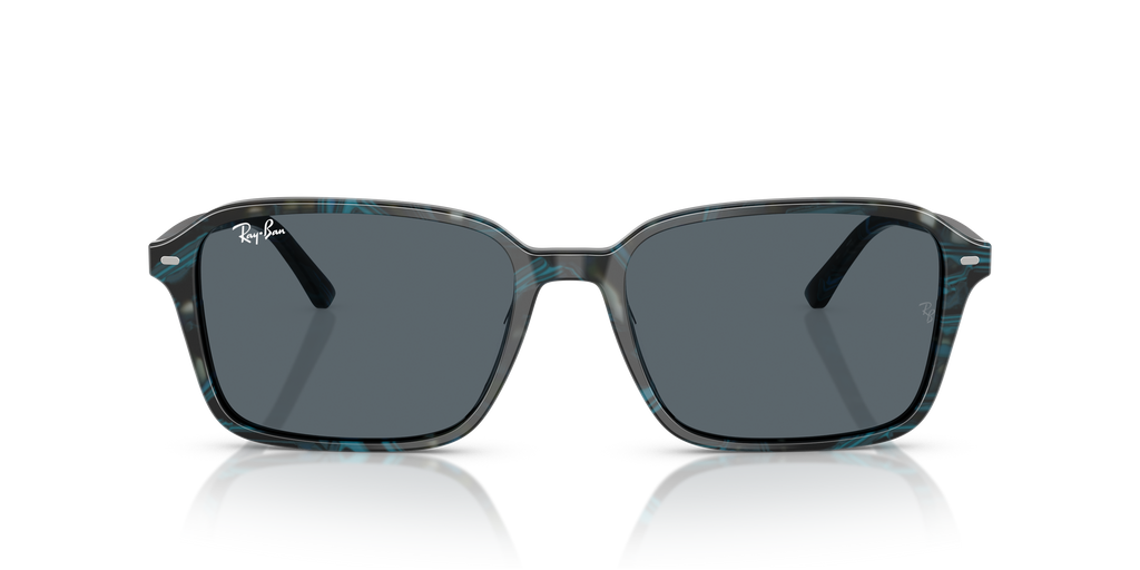 Ray-Ban RB2231 Raimond