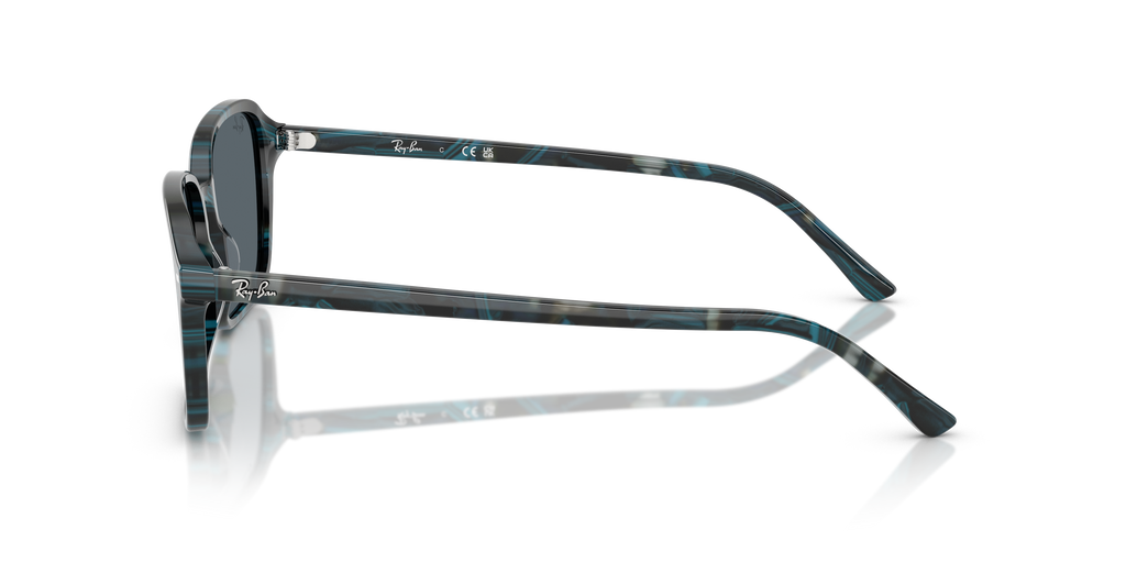 Ray-Ban RB2231 Raimond