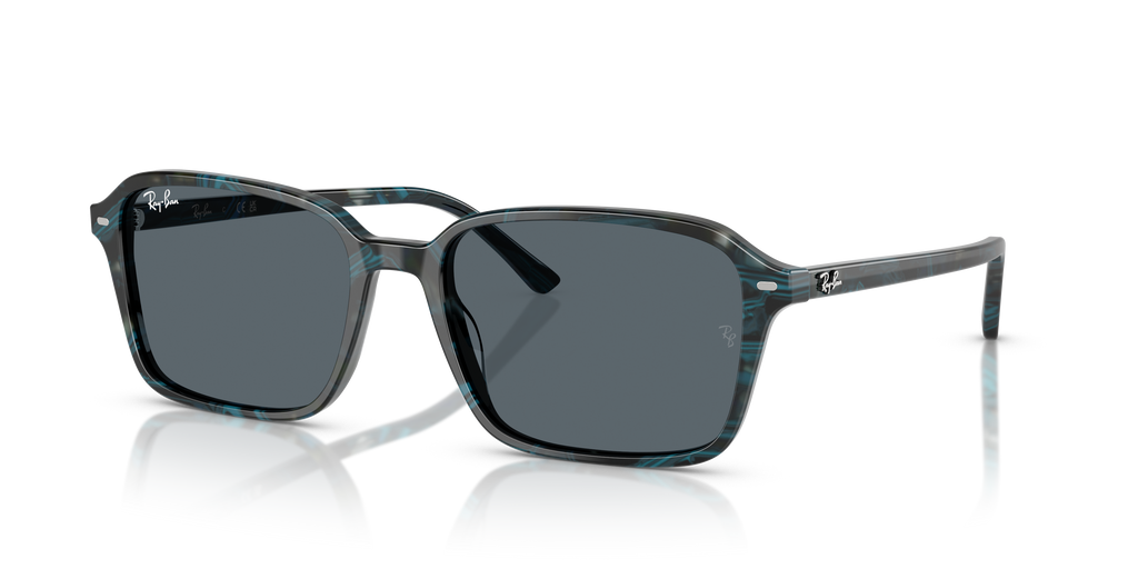 Ray-Ban RB2231 Raimond