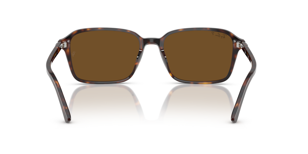 Ray-Ban RB2231 Raimond