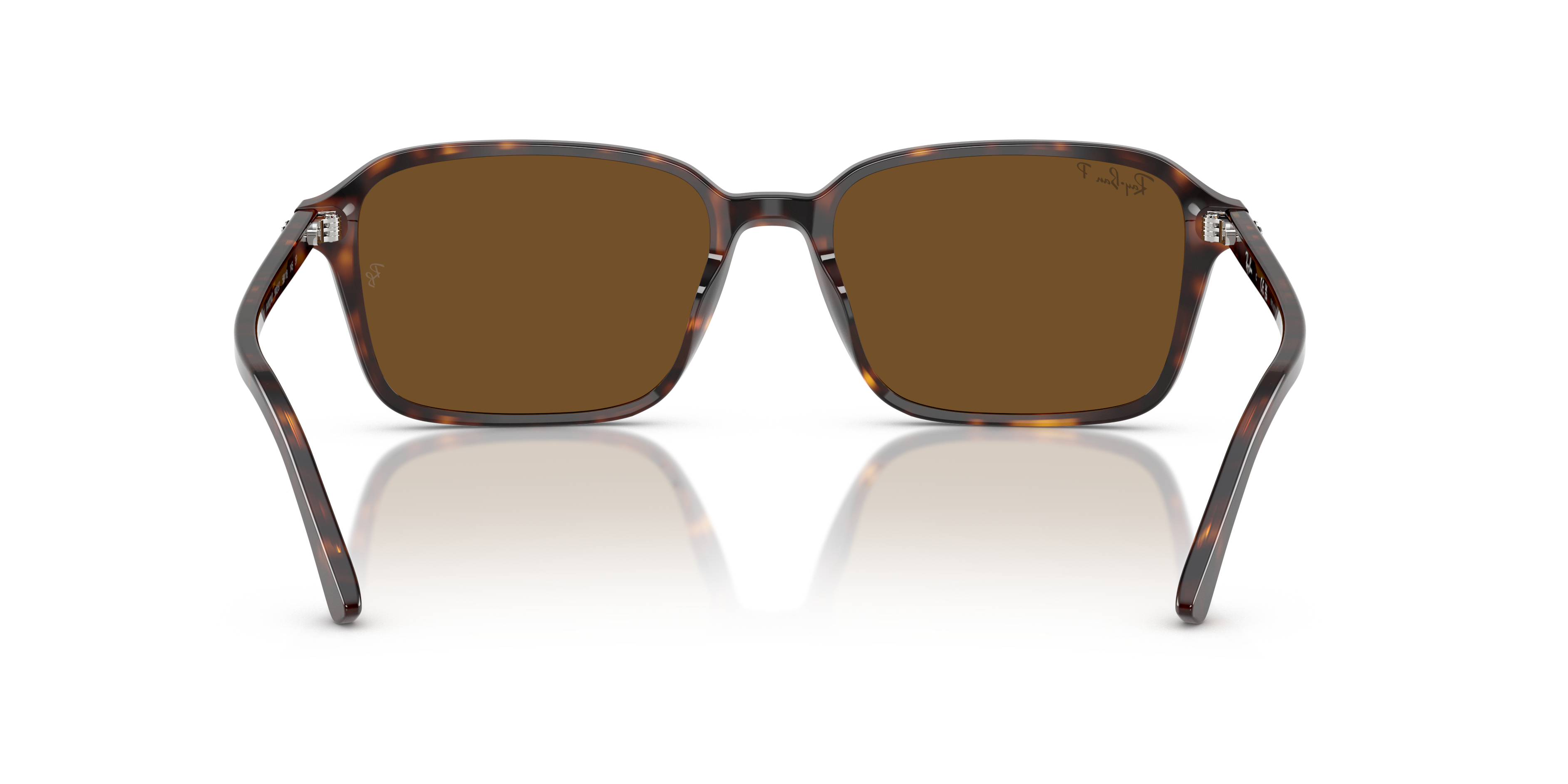 Ray-Ban RB2231 Raimond
