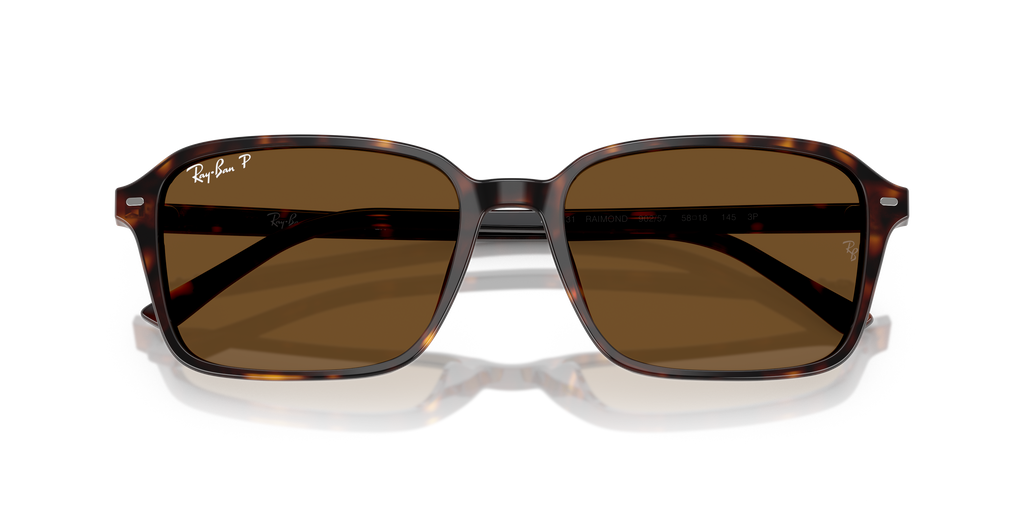 Ray-Ban RB2231 Raimond