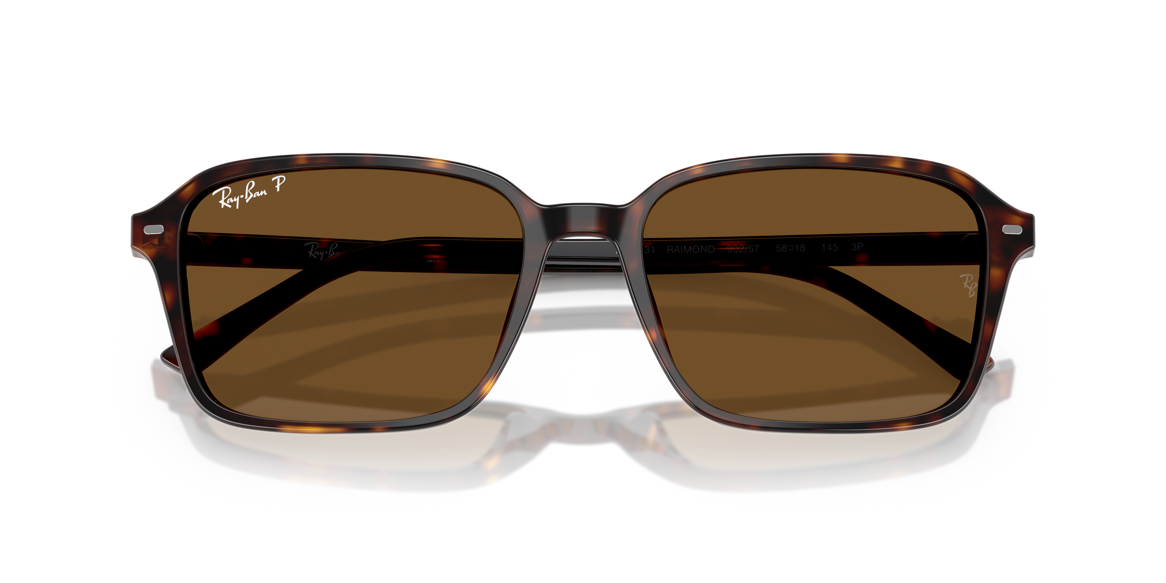 Ray-Ban RB2231 Raimond