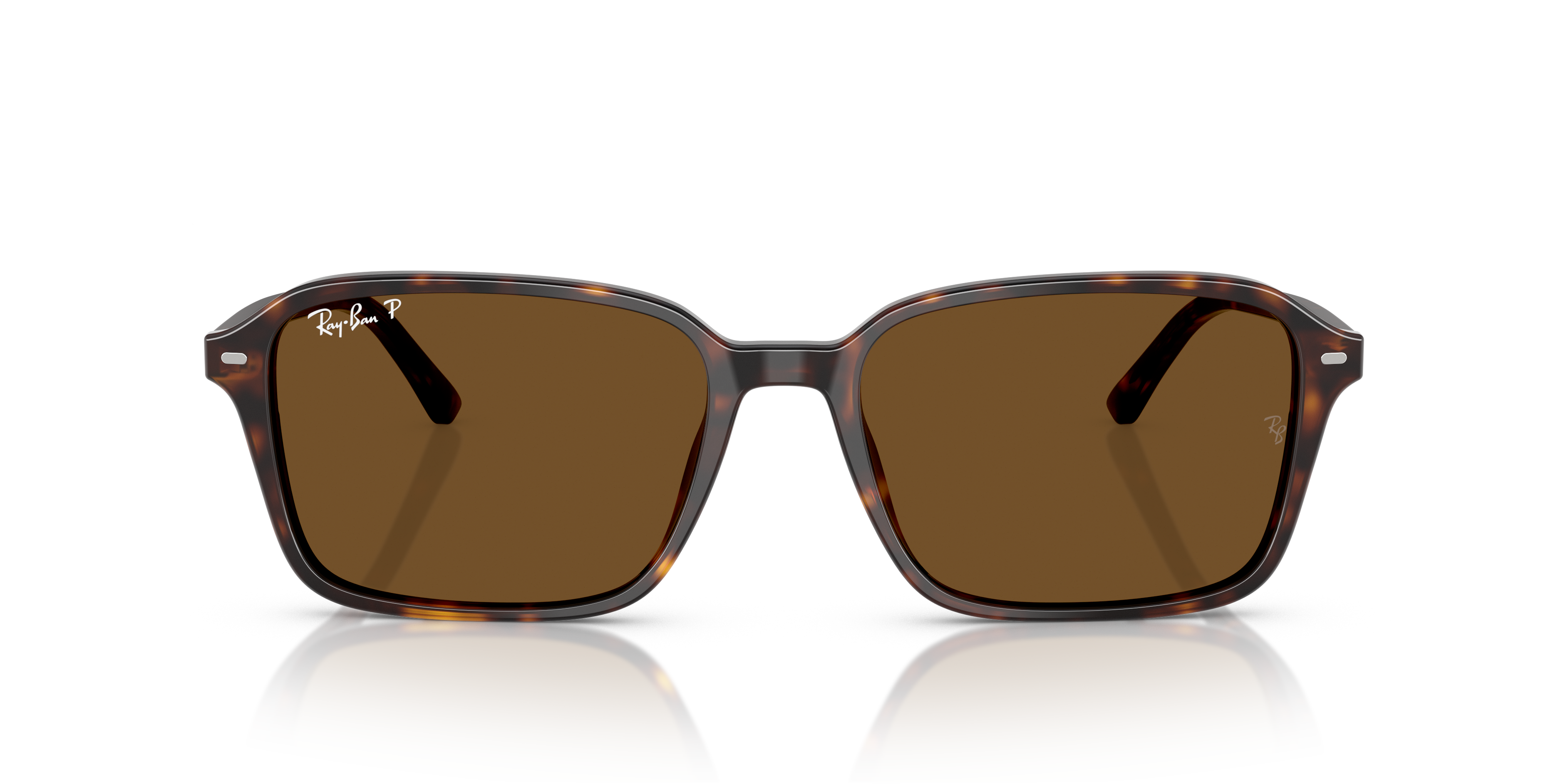 Ray-Ban RB2231 Raimond
