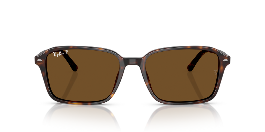 Ray-Ban RB2231 Raimond