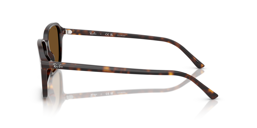 Ray-Ban RB2231 Raimond