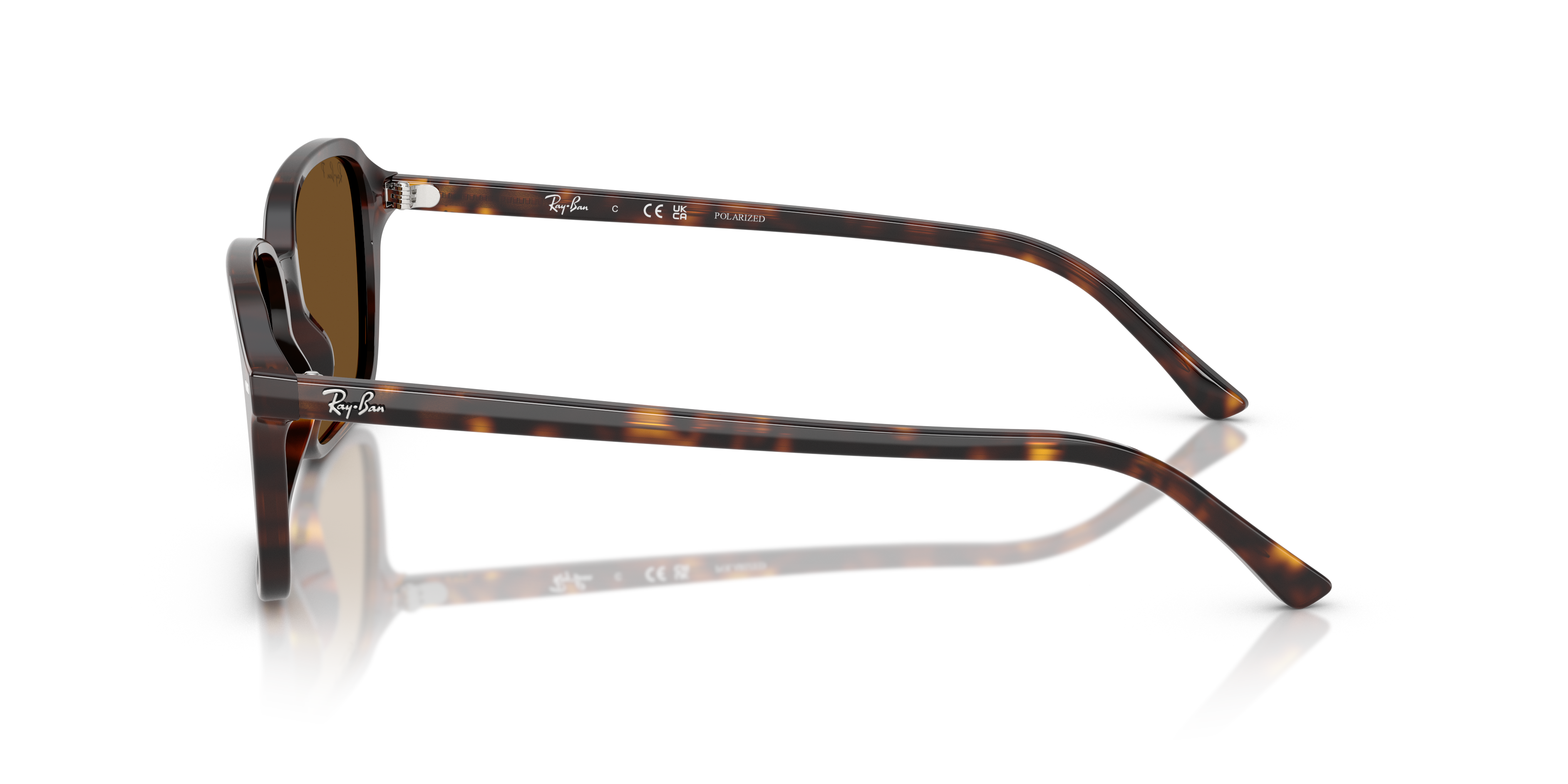 Ray-Ban RB2231 Raimond