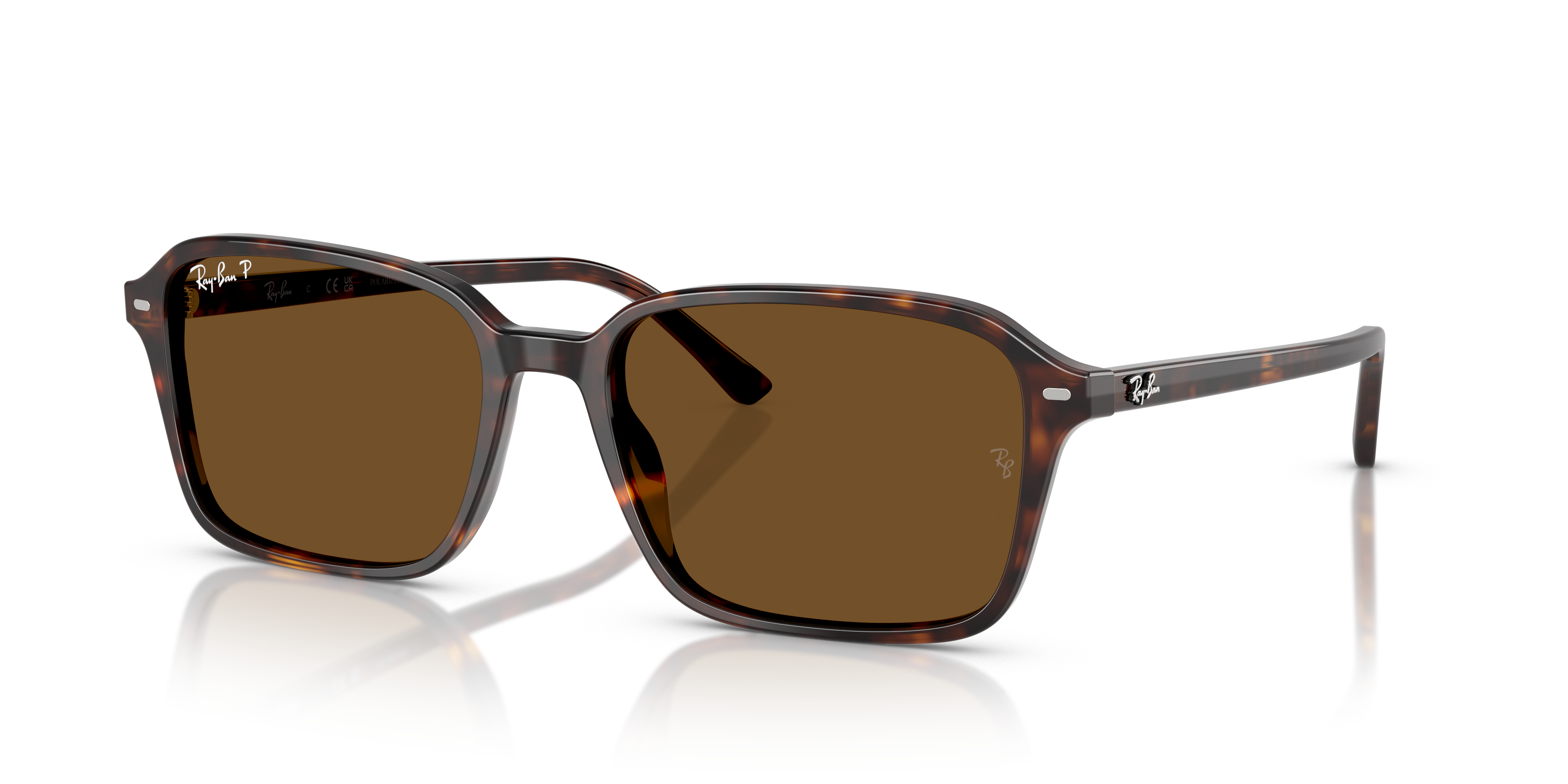 Ray-Ban RB2231 Raimond