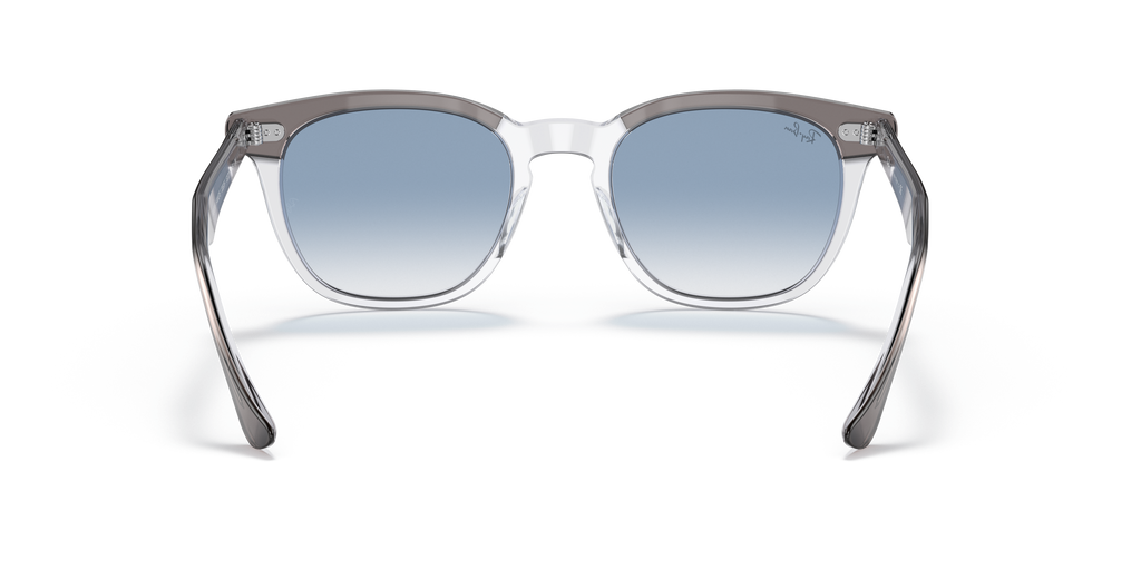 Ray-Ban RB2298 Hawkeye