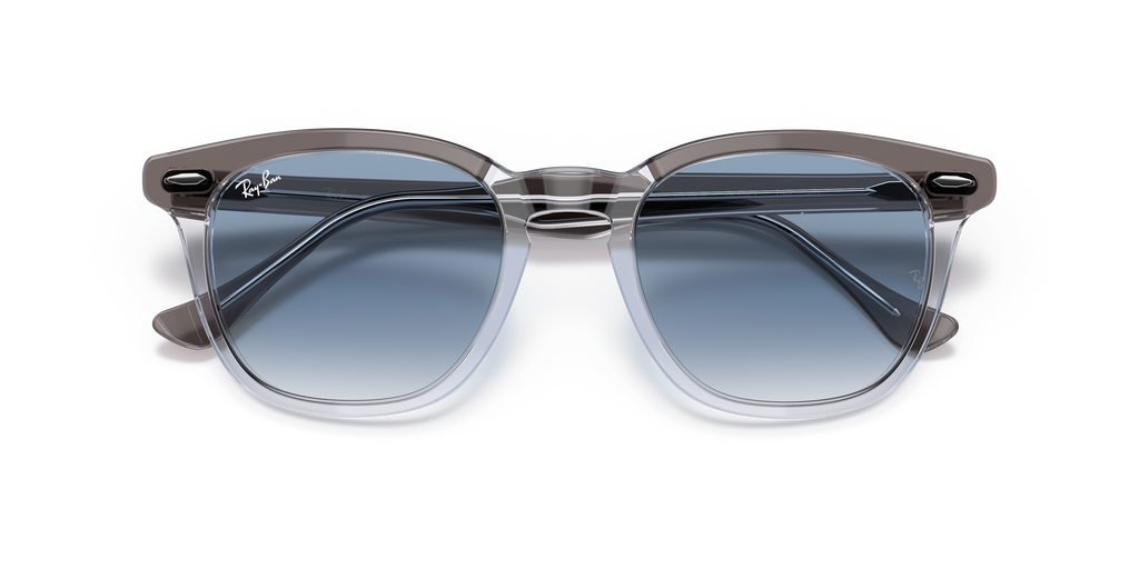Ray-Ban RB2298 Hawkeye