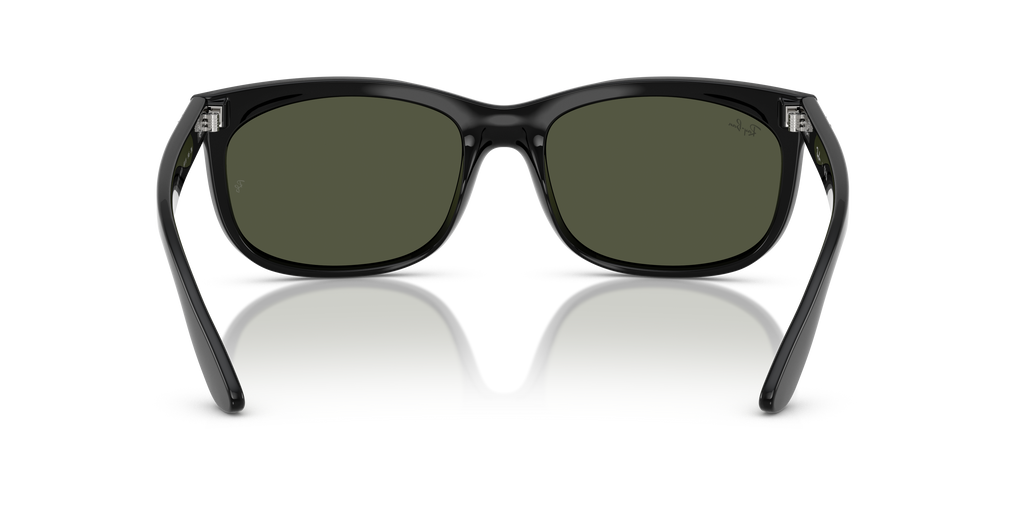 Ray-Ban RB2389 Balorette