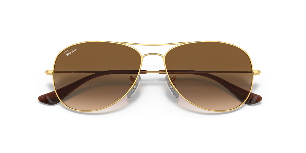 Ray-Ban RB3362 Cockpit