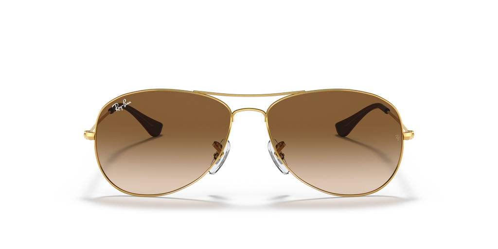 Ray-Ban RB3362 Cockpit