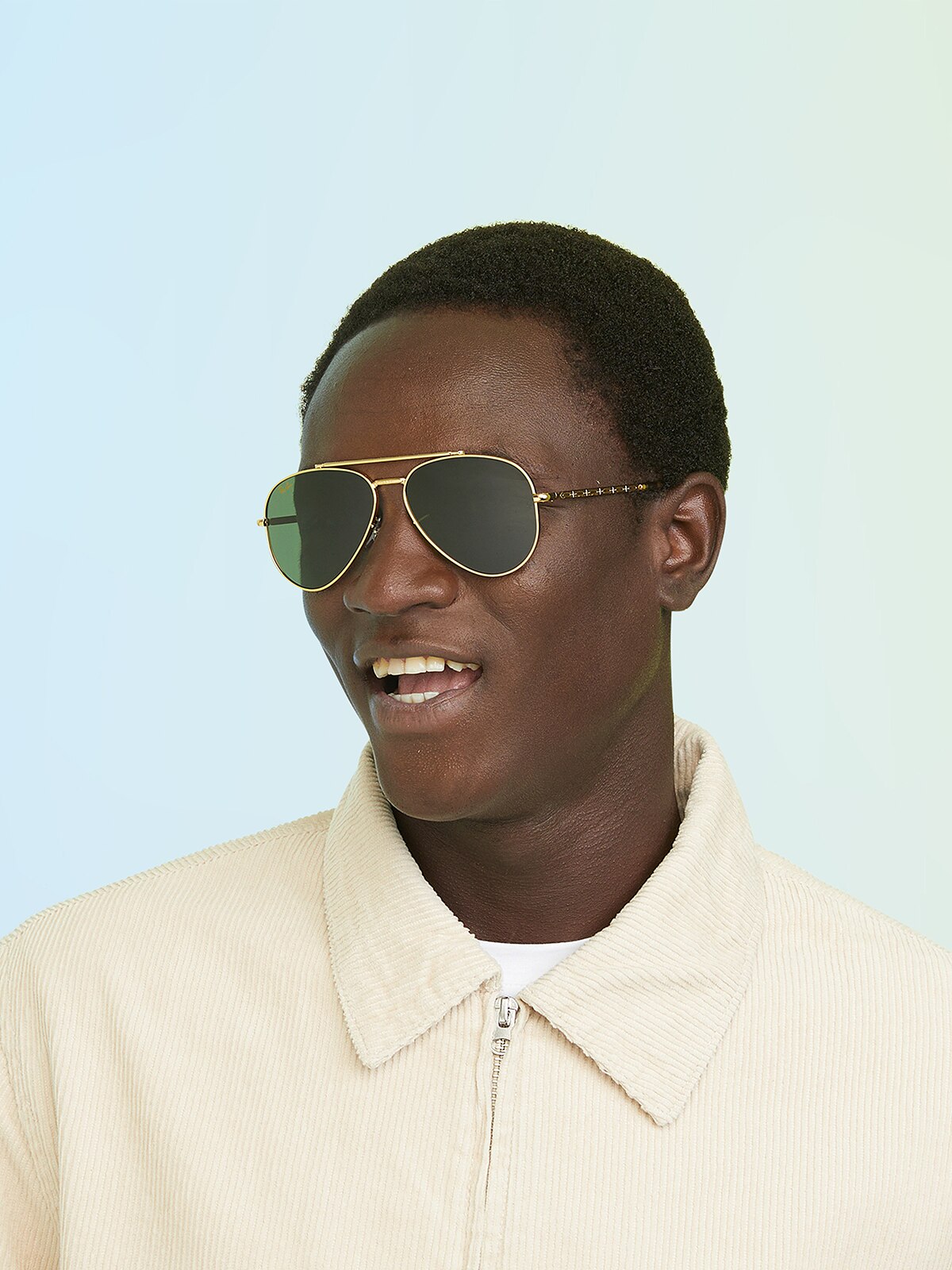 Ray-Ban RB3625 New Aviator
