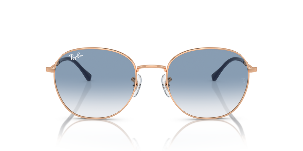 Ray-Ban RB3809