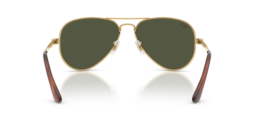 Ray-Ban RB3925 Aviator Max