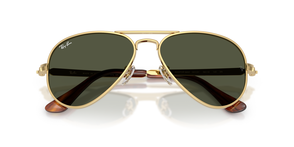 Ray-Ban RB3925 Aviator Max