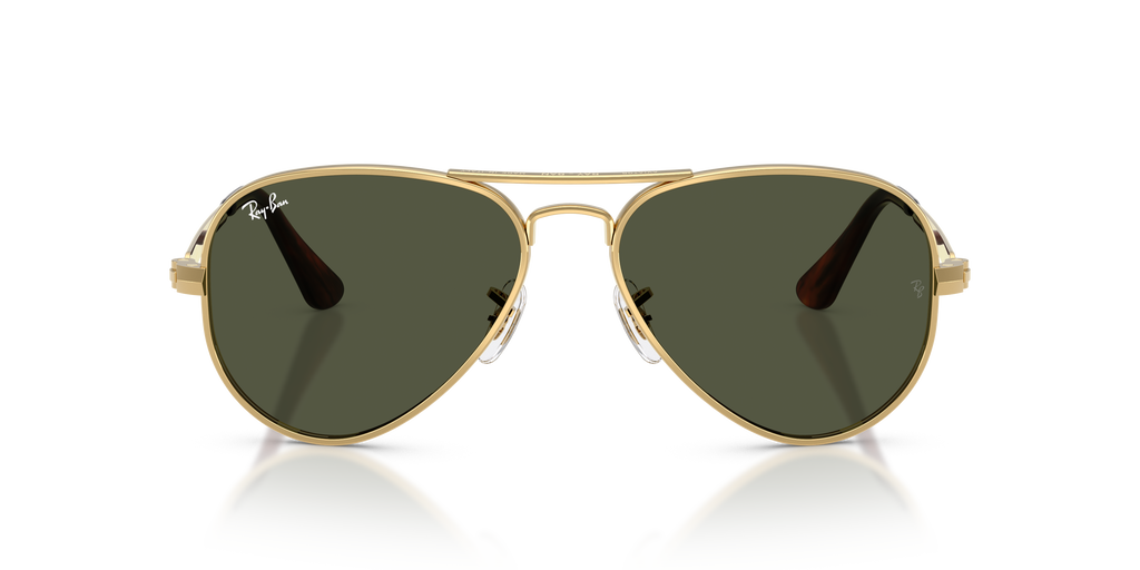 Ray-Ban RB3925 Aviator Max