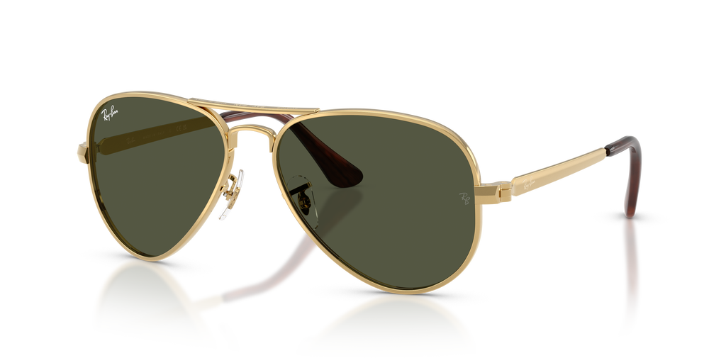 Ray-Ban RB3925 Aviator Max