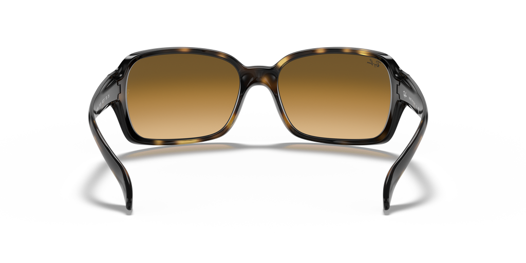 Ray-Ban RB4068