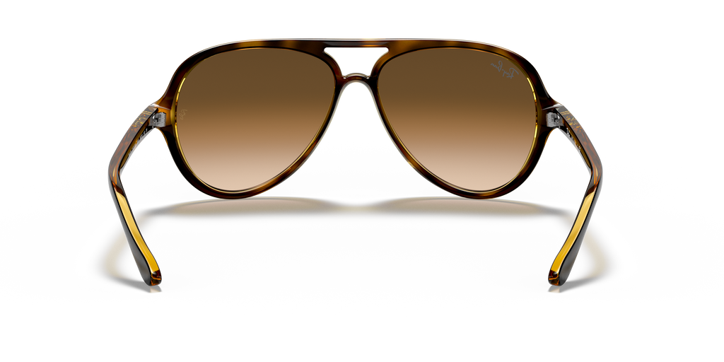 Ray-Ban RB4125 Cats 5000 Classic