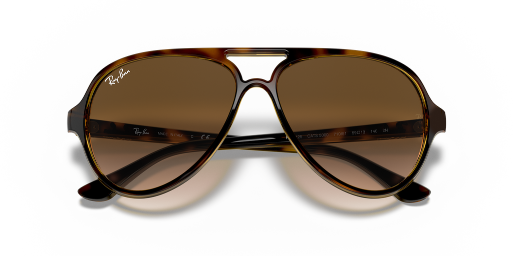 Ray-Ban RB4125 Cats 5000 Classic