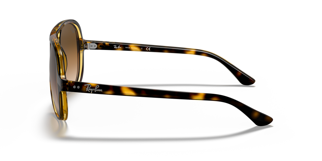 Ray-Ban RB4125 Cats 5000 Classic