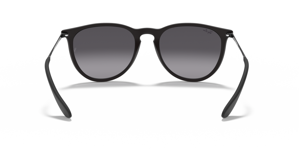 Ray-Ban RB4171 Erika Classic