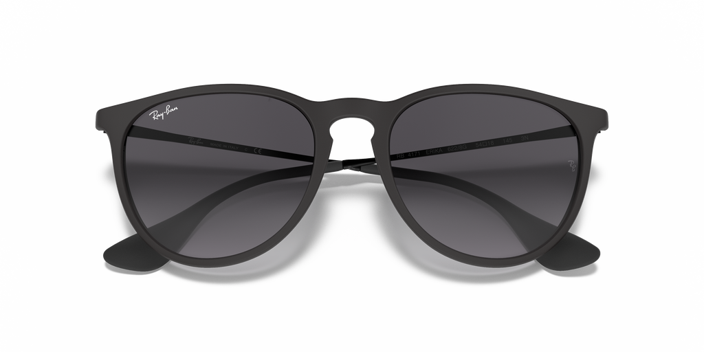 Ray-Ban RB4171 Erika Classic